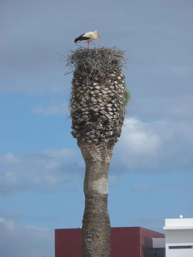 Solar - Lagos Portugal